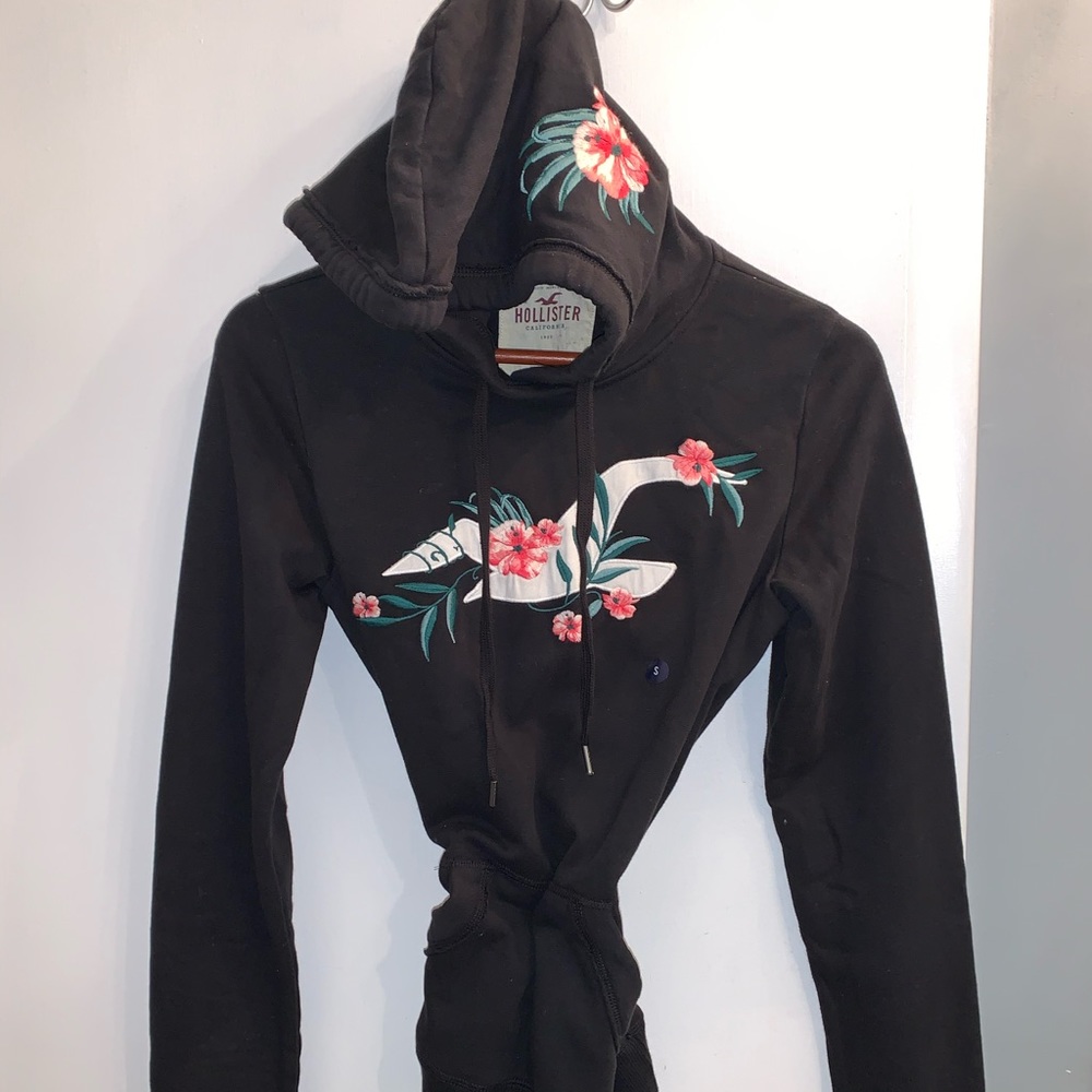 Hollister Pullover Hooded Sweatshirt